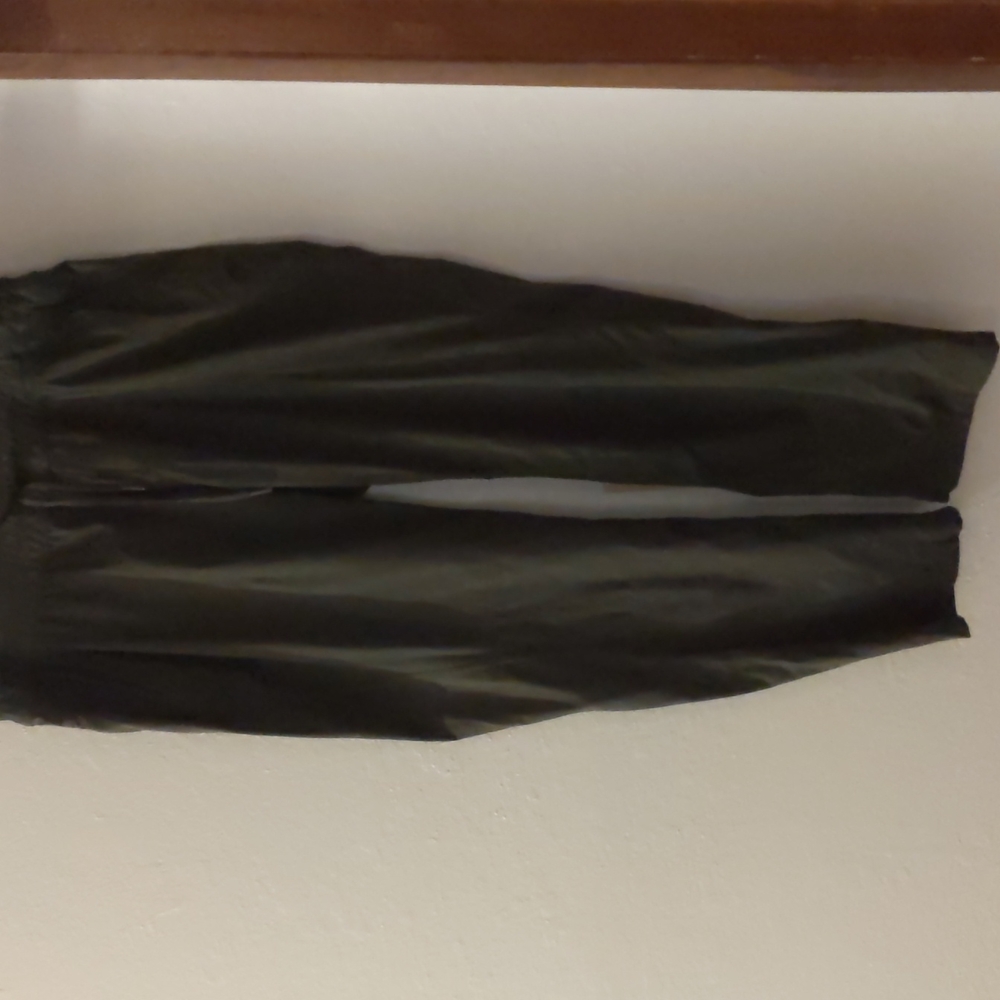 North Face Hiking Pants